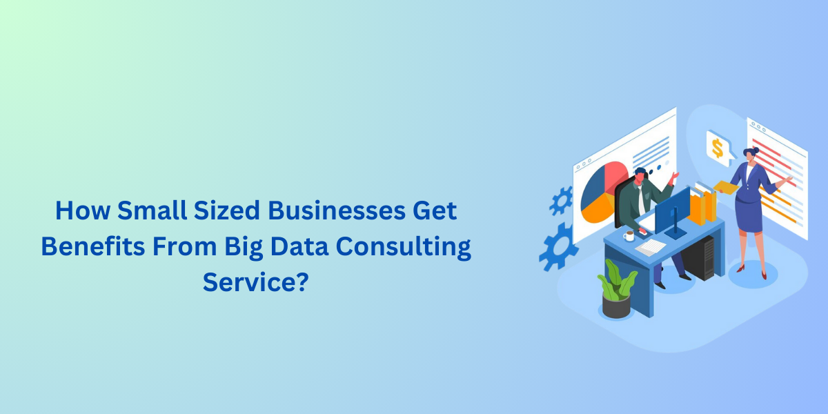 How Small Sized Businesses Get Benefits From Big Data Consulting Service?