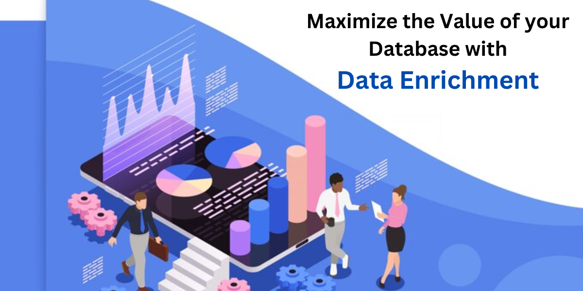 Maximize the value of your database with data enrichment