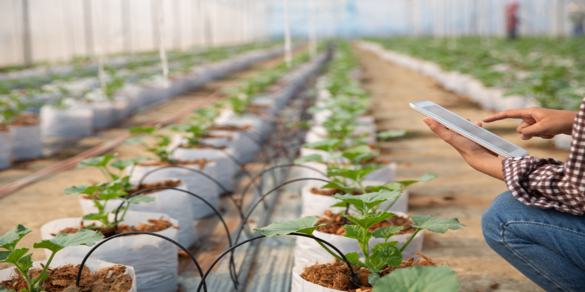 How Automation is Boosting the Agriculture Industry