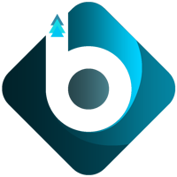 Bams Technologies Private Limited