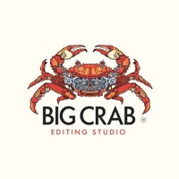 Big Crab Studio