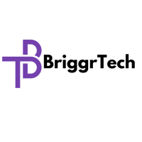 Briggr Technologies LTD