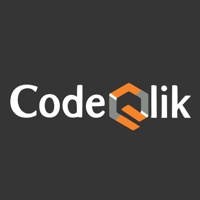 CodeQlik IT Solutions