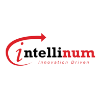 Intellinum Inc