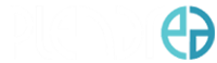 Plenarea