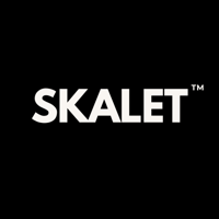 Skalet Agency-Best Website Design & Development Agency in Delhi