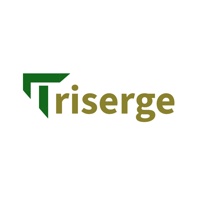 Triserge Technologies