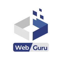 webguru.pk